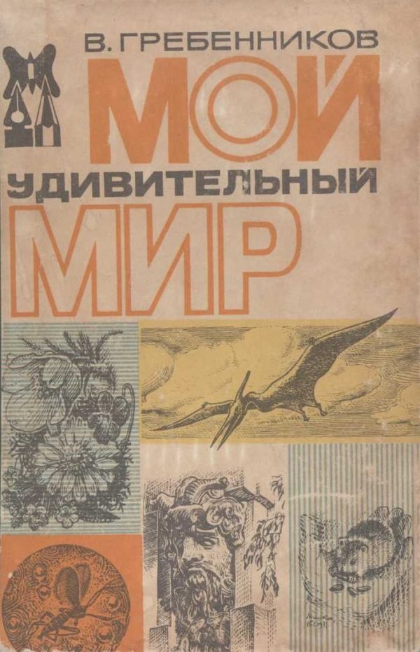 Обложка книги «Мой удивительный мир»