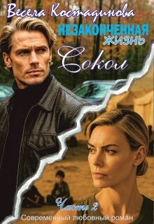 Обложка книги «Сокол»
