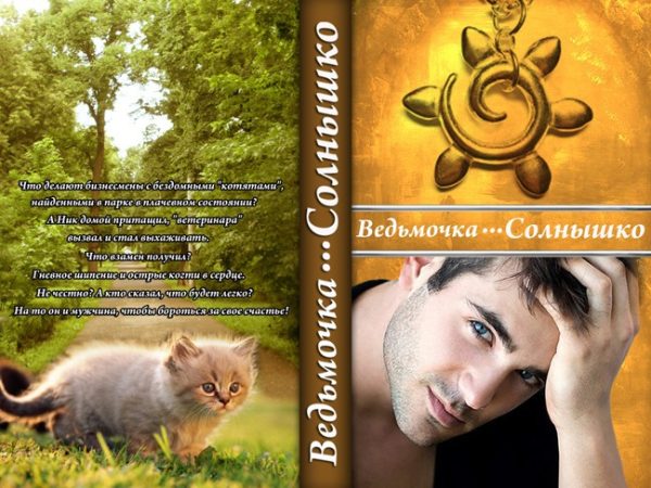 Обложка книги «Солнышко»
