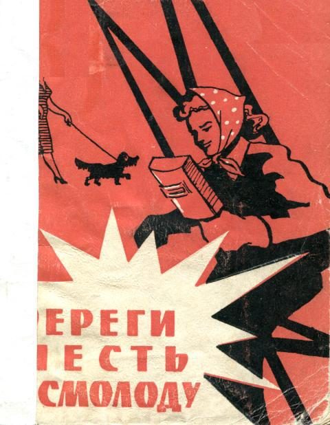 Обложка книги «Береги честь смолоду»