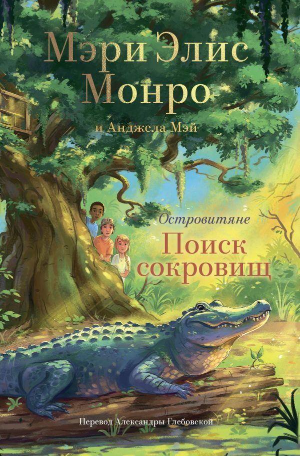Обложка книги «Поиск сокровищ»