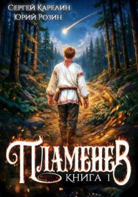 Обложка книги «Пламенев. Книга 1»