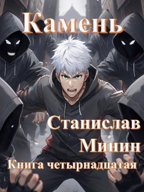 Обложка книги «Камень. Книга 14»