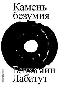 Обложка книги «Камень безумия»