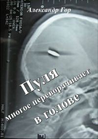 Обложка книги «Пуля многое переворачивает в голове»
