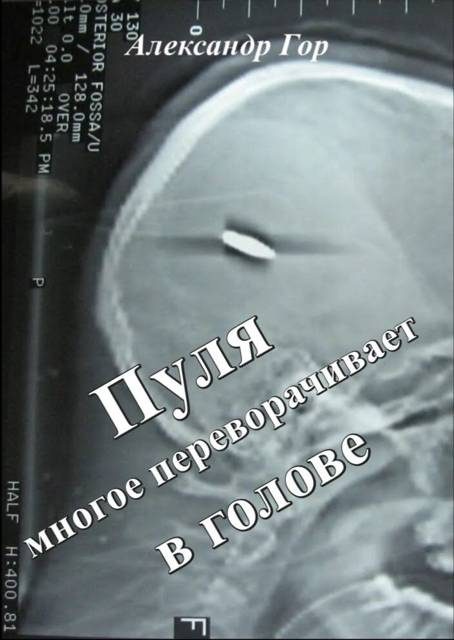 Обложка книги «Пуля многое переворачивает в голове»