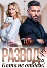 Обложка книги «Развод в 45. Кота не отдам!»