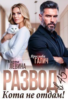 Обложка книги «Развод в 45. Кота не отдам!»