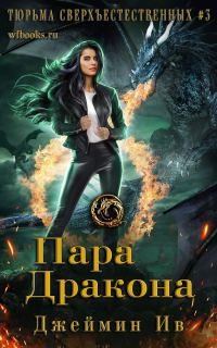Обложка книги «Пара дракона»