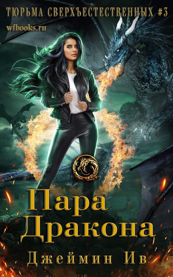 Обложка книги «Пара дракона»