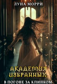 Обложка книги «В погоне за клинком»
