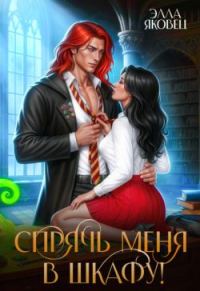 Обложка книги «Спрячь меня в шкафу!»
