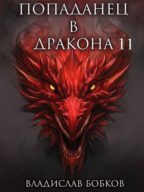 Обложка книги «Попаданец в Дракона 11»