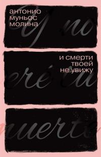 Обложка книги «И смерти твоей не увижу»