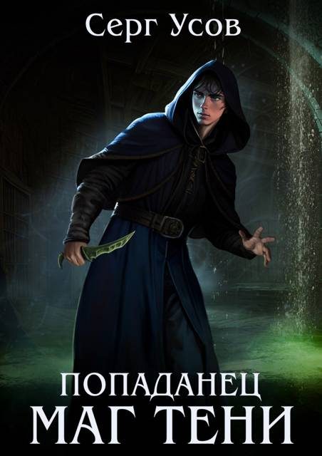 Обложка книги «Попаданец. Маг Тени. Книга 12»
