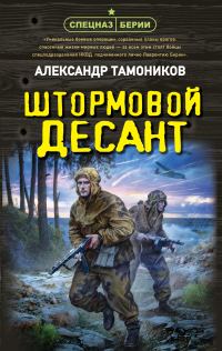 Обложка книги «Штормовой десант»