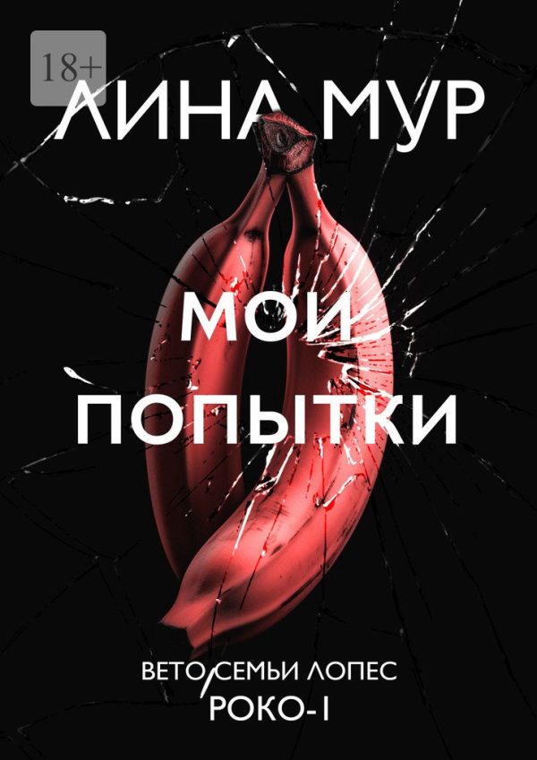 Обложка книги «Мои попытки»