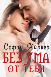 Обложка книги «Без ума от тебя»