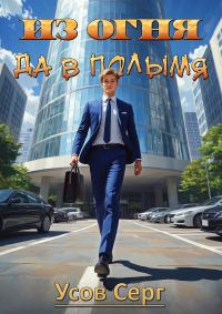 Обложка книги «Из огня да в полымя. Книга 1»