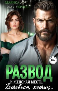 Обложка книги «Развод и женская месть»