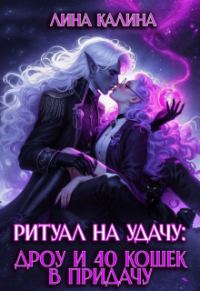 Обложка книги «Ритуал на удачу: дроу и 40 кошек в придачу. Книга 2»