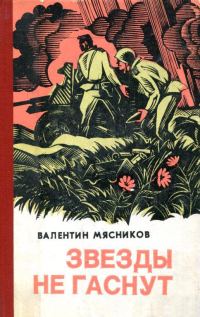 Обложка книги «Звезды не гаснут»