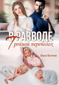 Обложка книги «В разводе. Тройной переполох»