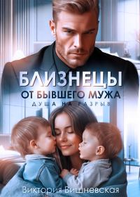 Обложка книги «Близнецы от бывшего мужа. Душа на разрыв»