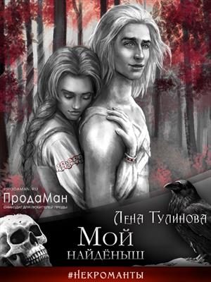 Обложка книги «Мой найдёныш»