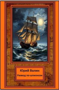Обложка книги «Развод по-шпионски»