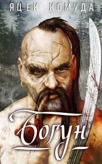 Обложка книги «Богун»