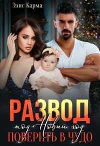 Обложка книги «Развод под Новый год. Поверить в чудо»