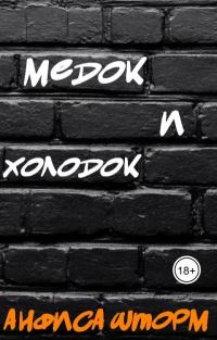 Обложка книги «Медок и холодок»
