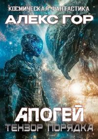 Обложка книги «Тензор порядка»