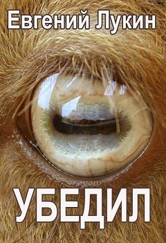 Обложка книги «Убедил»