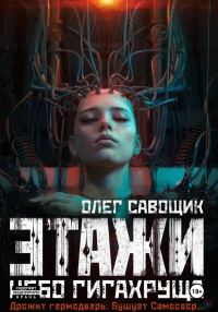Обложка книги «Небо Гигахруща»