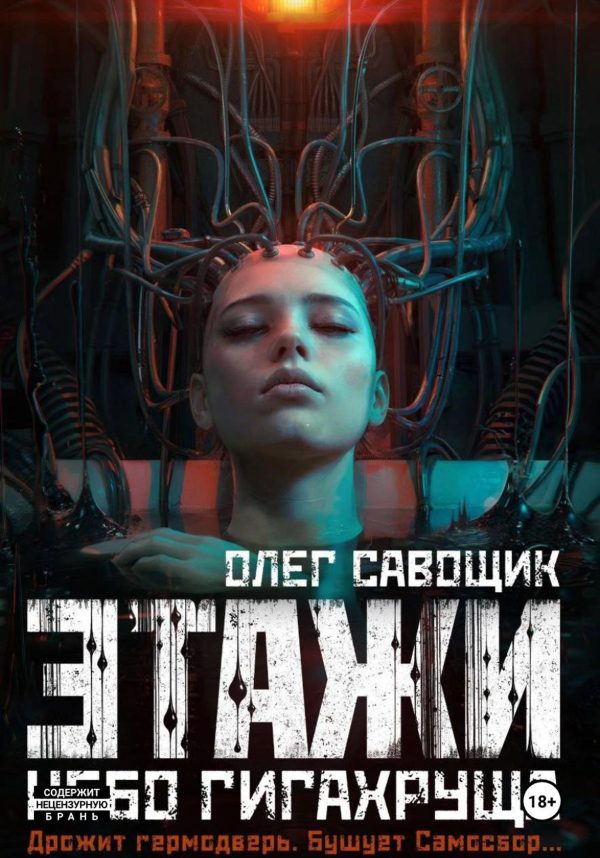 Обложка книги «Небо Гигахруща»