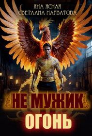 Обложка книги «Не мужик - огонь!»