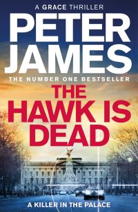 Обложка книги «The Hawk Is Dead»