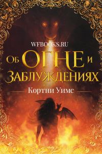 Обложка книги «Об огне и заблуждениях»