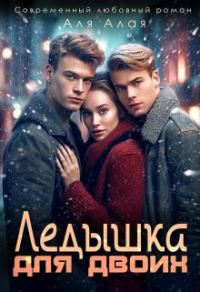 Обложка книги «Ледышка для двоих»