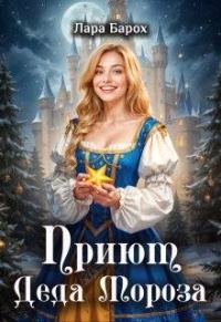 Обложка книги «Приют Деда Мороза»