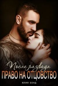 Обложка книги «После развода. Право на отцовство»