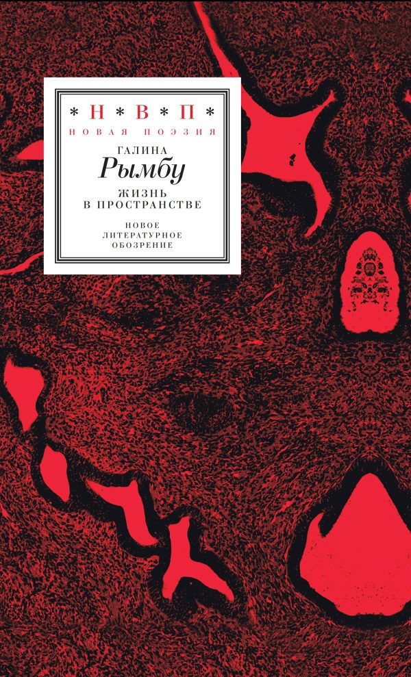 Обложка книги «Жизнь в пространстве»