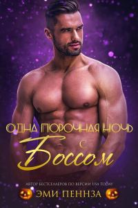 Обложка книги «Одна порочная ночь с боссом»