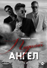 Обложка книги «Падший ангел»