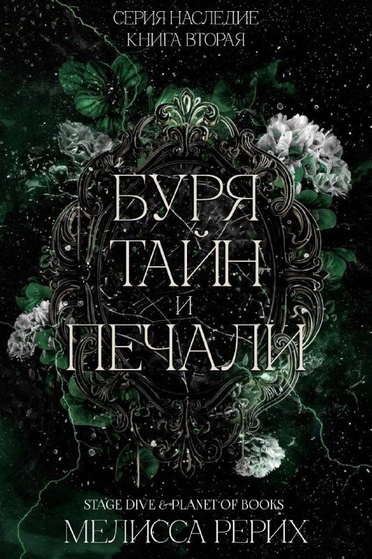 Обложка книги «Буря тайн и печали»