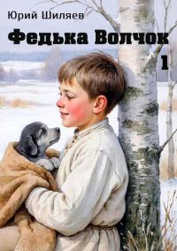 Обложка книги «Федька Волчок 1»