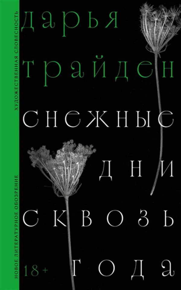 Обложка книги «Снежные дни сквозь года»