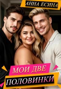 Обложка книги «Мои две половинки»